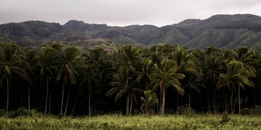 State Hunting Seasons